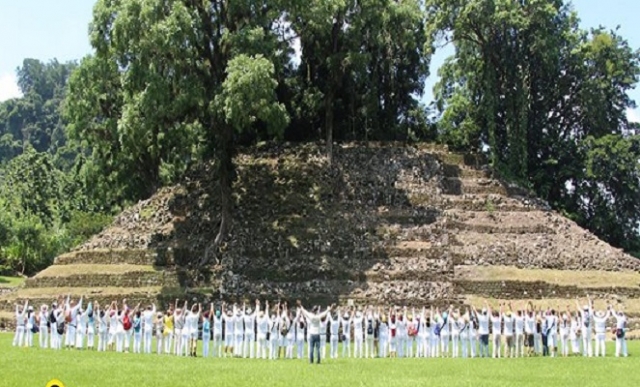  attività commerciali 